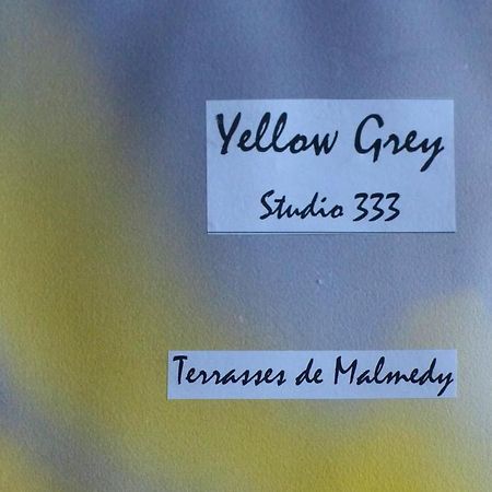 Les Terrasses De Malmedy Studio 333 Yellow Grey 外观 照片